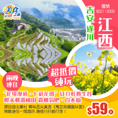超值特價團【純玩·江西遂川】暢遊醉美【桃源梯田】森林氧吧【白水仙】花境漫道·七彩花田”紅豆杉養生谷丨兩晚連住 唔使日日搬行李 純玩3天巴士（美食之旅 旅行團）