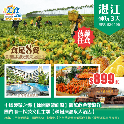 中國菠蘿之鄉【徐聞菠蘿的海】觀萬畝金黃海洋、 國內唯一以豉文化主題【樟樹灣溫泉大酒店】、 25年12月全新開業·國際品牌·智能化【化州華訊溫德姆酒店】歎《豪華海鮮自助晚餐》 純玩3天（美食之旅 旅行團）