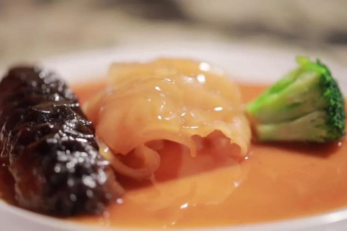 《鮑蔘翅肚鳳凰四重奏》石灣公仔街、順德漁人碼頭、紫荊西堤文創西街 【(位上)臻品花膠燴遼蔘+(位上)鮑魚海味燉鮮鳳宴】【北寄貝撈雞+(位上)濃湯翅盅仔雲吞宴】佛山肇慶純玩2天團(永安旅遊 旅行團)