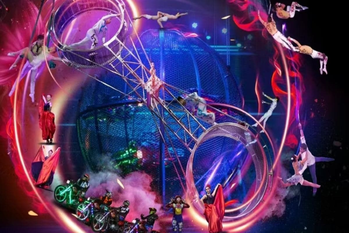 《兩大親子樂園+珠江夜遊》連續2晚保證入住國際品牌~里水希爾頓惠庭酒店「長鹿休博園~童話動物王國」「國際大馬戲地球村·幻秀」【招牌鹽焗鮑魚+(位上)巨無霸大花菇燴鵝掌宴】順德樂園純玩3天（永安旅遊 旅行團）