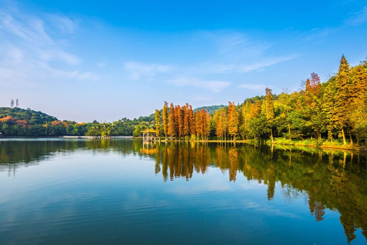 佛山2天團·永安特別安排夜遊「蘇村錦鯉街區」體驗燃放煙花夜  暢遊 廣東四大名山之一「西樵山天湖風景區」（永安旅遊 旅行團）