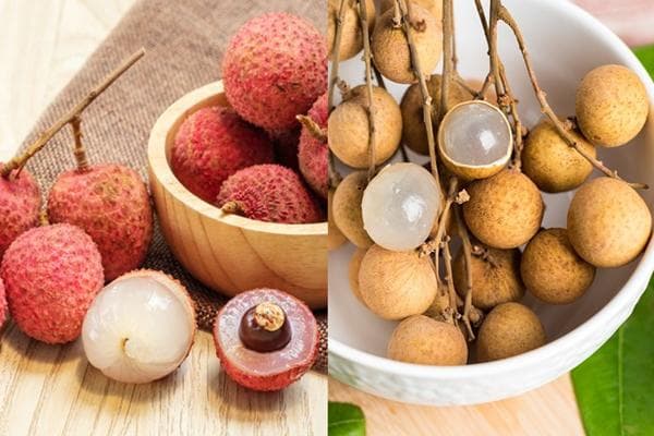 〝極受歡迎〞獨立自組享用美食專場(不需夾其他組別同檯用餐)
任食時令晶瑩剔透【荔枝】或 鮮甜【龍眼】中山 純玩 3天（東瀛遊 旅行團）