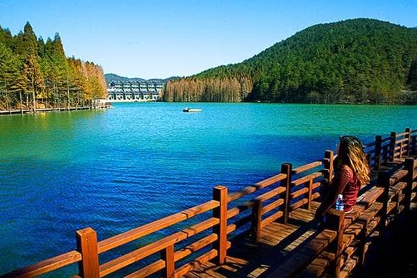 《乘坐高速鐵路往返》【季節限定】明月山賞花季●油菜花及櫻花
【國家5A級“天然氧吧”明月山、千年宋城 贛州】純玩3天（東瀛遊 旅行團）