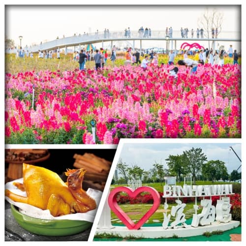 東莞送1人1隻鹽焗雞帶回家 長安濱海灣花海裡 鑫源飲食文化博物館純玩1天(關鍵旅遊 旅行團)