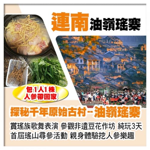 首屆瑤山尋參活動 親身體驗挖人參樂趣 千年原始古村--油嶺瑤寨 賞瑤族歌舞表演 純玩3天(關鍵旅遊 旅行團)