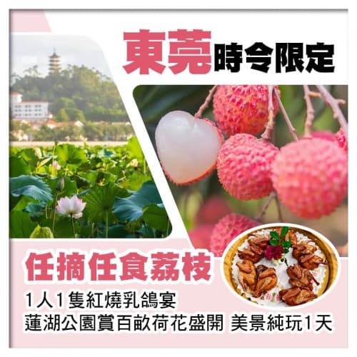 東莞任摘任食荔枝、1人1隻紅燒乳鴿宴、蓮湖公園賞百畝荷花純玩1天(關鍵旅遊 旅行團)