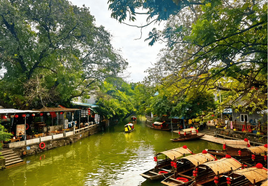 尋味順德美食《雀巢鮮奶盞+順德拆魚羹宴》《順德炸云吞+至尊燒鵝宴》《位上功夫魚湯+九五至尊龍船宴》純玩2天團(星晨旅遊 旅行團)