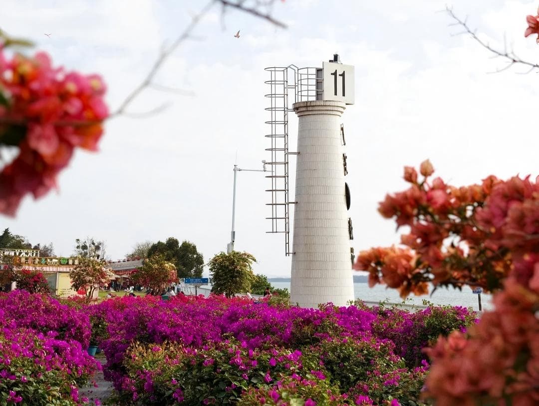 尋味中山美食《位上花膠湯+紅燒乳鴿宴》《美味園金獎脆肉鯇魚+燒鵝宴》《位上養生翅魚肚羹+鹽焗水鴨宴》純玩2天團(星晨旅遊 旅行團)