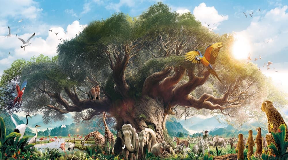 全新清遠長隆度假區（森林王國）清遠美景純玩3天團（新華旅遊 旅行團）