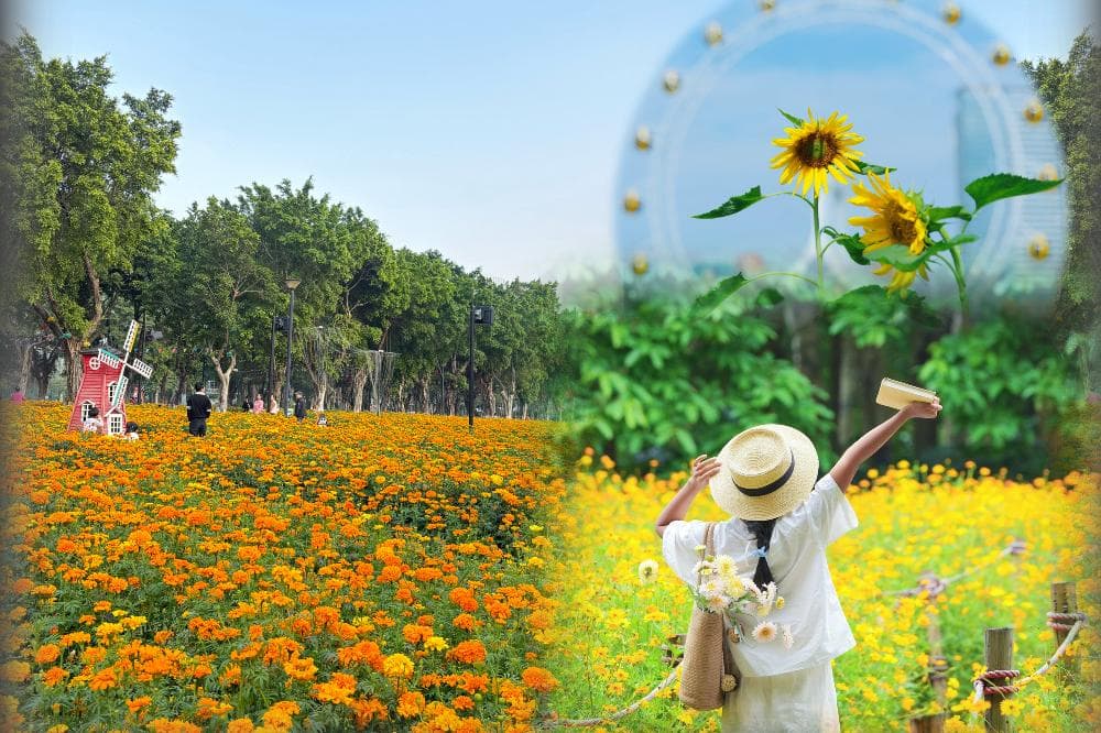 〝把握現在賞花好時機 ‧ 五大私房菜推介〞佛山、中山純玩3天(東瀛遊 旅行團)