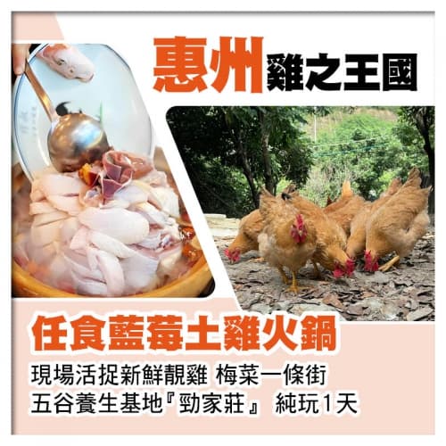 惠州雞之王國~任食藍莓土雞火鍋 現場活捉新鮮靚雞、梅菜一條街 純玩1天(關鍵旅遊 旅行團)